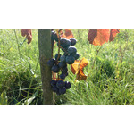 Zdjęcia użytkowników Sony Xperia Z1 C6903