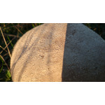 Zdjęcia użytkowników Sony Xperia Z1 C6903