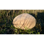 Zdjęcia użytkowników Sony Xperia Z1 C6903