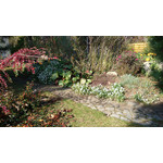 Zdjęcia użytkowników Sony Xperia Z1 C6903