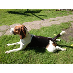 Zdjęcia użytkowników Sony Xperia Z1 C6903