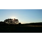 Zdjęcia użytkowników Sony Xperia Z1 C6903