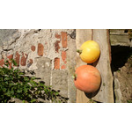 Zdjęcia użytkowników Sony Xperia Z1 C6903