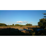 Zdjęcia użytkowników Sony Xperia Z1 C6903