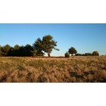 Zdjęcia użytkowników Sony Xperia Z1 C6903