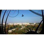 Zdjęcia użytkowników Sony Xperia Z1 C6903