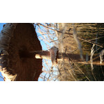 Zdjęcia użytkowników Sony Xperia Z1 C6903