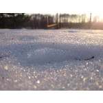 Zdjęcia użytkowników Sony Xperia Z1 C6903