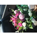 Zdjęcia użytkowników Sony Xperia Z1 Compact Zdjęcia użytkowników Sony Xperia Z1 Compact