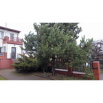 Zdjęcia użytkowników Sony Xperia Z1 Compact Zdjęcia użytkowników Sony Xperia Z1 Compact