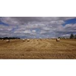 Zdjęcia użytkowników Sony Xperia Z1 Compact Zdjęcia użytkowników Sony Xperia Z1 Compact