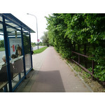 ZDJĘCIA Z TEGO TELEFONU