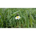 Zdjęcia użytkowników Sony Xperia Z2