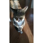 Zdjęcia użytkowników Sony Xperia Z3 Compact Zdjęcia użytkowników Sony Xperia Z3 Compact