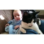 Zdjęcia użytkowników Sony Xperia Z3 Compact Zdjęcia użytkowników Sony Xperia Z3 Compact