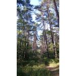 Zdjęcia użytkowników Sony Xperia Z3 Compact Zdjęcia użytkowników Sony Xperia Z3 Compact