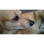 Zdjęcia użytkowników Sony Xperia Z3 Compact Zdjęcia użytkowników Sony Xperia Z3 Compact