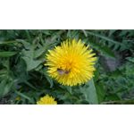 Zdjęcia użytkowników Sony Xperia Z3 Compact Zdjęcia użytkowników Sony Xperia Z3 Compact