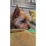 Zdjęcia użytkowników Sony Xperia Z3 Compact Zdjęcia użytkowników Sony Xperia Z3 Compact