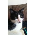 Zdjęcia użytkowników Sony Xperia Z3 Compact Zdjęcia użytkowników Sony Xperia Z3 Compact