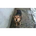 Zdjęcia użytkowników Sony Xperia Z3 Compact Zdjęcia użytkowników Sony Xperia Z3 Compact