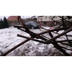 Zdjęcia użytkowników Sony Xperia Z3 Compact Zdjęcia użytkowników Sony Xperia Z3 Compact