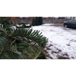 Zdjęcia użytkowników Sony Xperia Z3 Compact Zdjęcia użytkowników Sony Xperia Z3 Compact