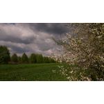 Zdjęcia użytkowników Sony Xperia Z3 Compact Zdjęcia użytkowników Sony Xperia Z3 Compact