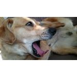 Zdjęcia użytkowników Sony Xperia Z3 Compact Zdjęcia użytkowników Sony Xperia Z3 Compact