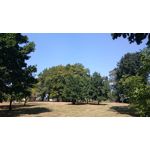 Zdjęcia użytkowników Sony Xperia Z3 Compact Zdjęcia użytkowników Sony Xperia Z3 Compact