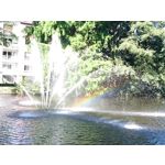 Zdjęcia użytkowników Sony Xperia Z3 Compact Zdjęcia użytkowników Sony Xperia Z3 Compact