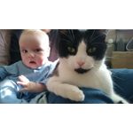 Zdjęcia użytkowników Sony Xperia Z3 Compact Zdjęcia użytkowników Sony Xperia Z3 Compact