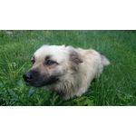 Zdjęcia użytkowników Sony Xperia Z3 Compact Zdjęcia użytkowników Sony Xperia Z3 Compact