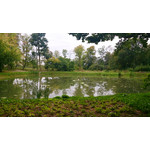 ZDJĘCIA Z TEGO TELEFONU