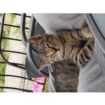 Zdjęcia użytkowników Sony Xperia 1 VI