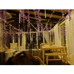 ZDJĘCIA Z TEGO TELEFONU