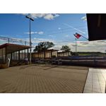 ZDJĘCIA Z TEGO TELEFONU