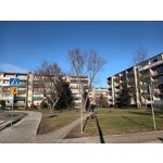 Zdjęcia użytkowników T-Mobile T Phone Pro 5G Zdjęcia użytkowników T-Mobile T Phone Pro 5G