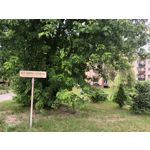 Zdjęcia użytkowników T-Mobile T Phone Pro 5G Zdjęcia użytkowników T-Mobile T Phone Pro 5G