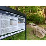 Zdjęcia użytkowników T-Mobile T Phone Pro 5G Zdjęcia użytkowników T-Mobile T Phone Pro 5G