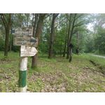 Zdjęcia użytkowników T-Mobile T Phone Pro 5G Zdjęcia użytkowników T-Mobile T Phone Pro 5G