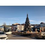 Zdjęcia użytkowników T-Mobile T Phone Pro 5G Zdjęcia użytkowników T-Mobile T Phone Pro 5G