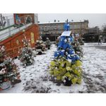 Zdjęcia użytkowników T-Mobile T Phone Pro 5G Zdjęcia użytkowników T-Mobile T Phone Pro 5G