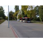 ZDJĘCIA Z TEGO TELEFONU