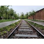 Zdjęcia użytkowników Tecno Spark 20 Pro+
