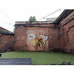 Zdjęcia użytkowników Tecno Spark 20 Pro+
