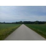 Zdjęcia użytkowników Tecno Spark 20 Pro+