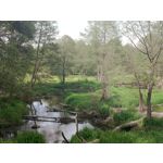Zdjęcia użytkowników Tecno Spark 20 Pro+