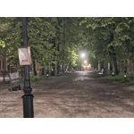 Zdjęcia użytkowników Tecno Spark 20 Pro+