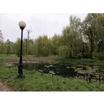 Zdjęcia użytkowników Tecno Spark 20 Pro+
